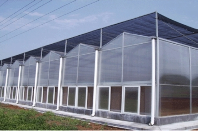 agriculture greenhouse (14).jpg
